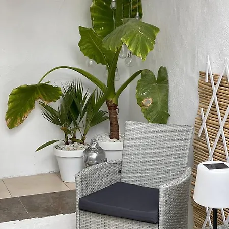 Casa Dolly Boutique